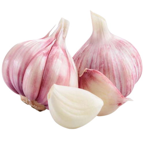 source and Import Garlic fresh and dry and other Vegitables